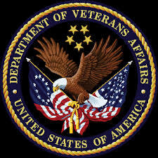 DEPARTMENT OF VETERAN AFFAIRS